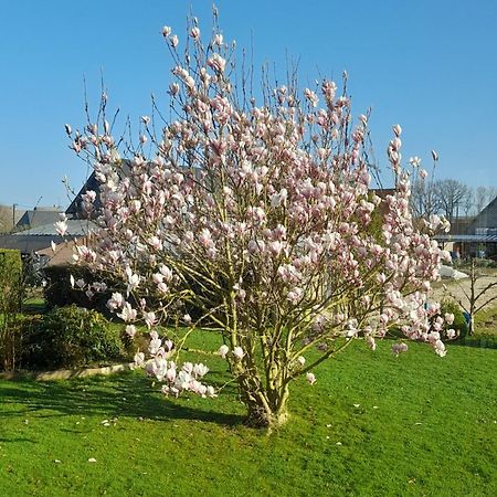Ferienwohnung Abri Des Âmes Gerponville Exterior foto